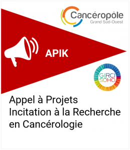 APIK